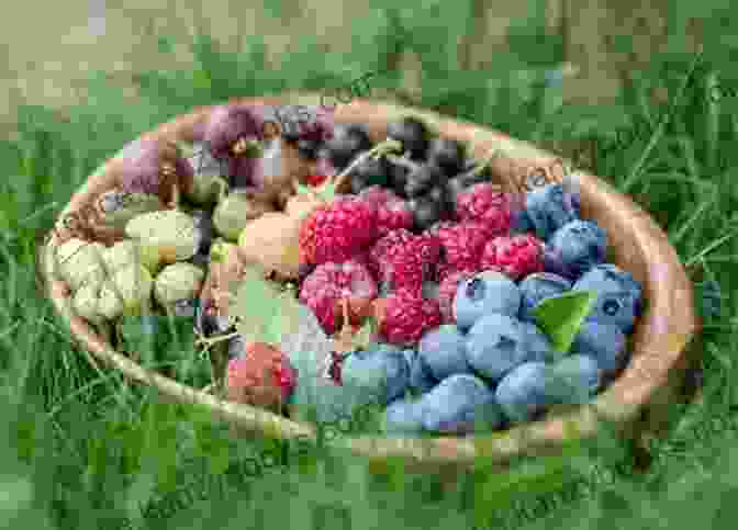 A Vibrant Assortment Of Ripe And Juicy Berries In A Rustic Wooden Bowl, Reflecting The Freshness And Abundance Provided By Nature's Bounty. The Berry Book: 30 Of The Most Amazing Berry Recipes Ever