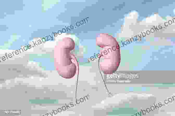 Image Of A Person With A Smile Holding A Kidney Shaped Balloon. Kidney Stone Diet Cookbook: A Complete Guide With Healthy And Delicious Recipes To Manage Kidney Problems