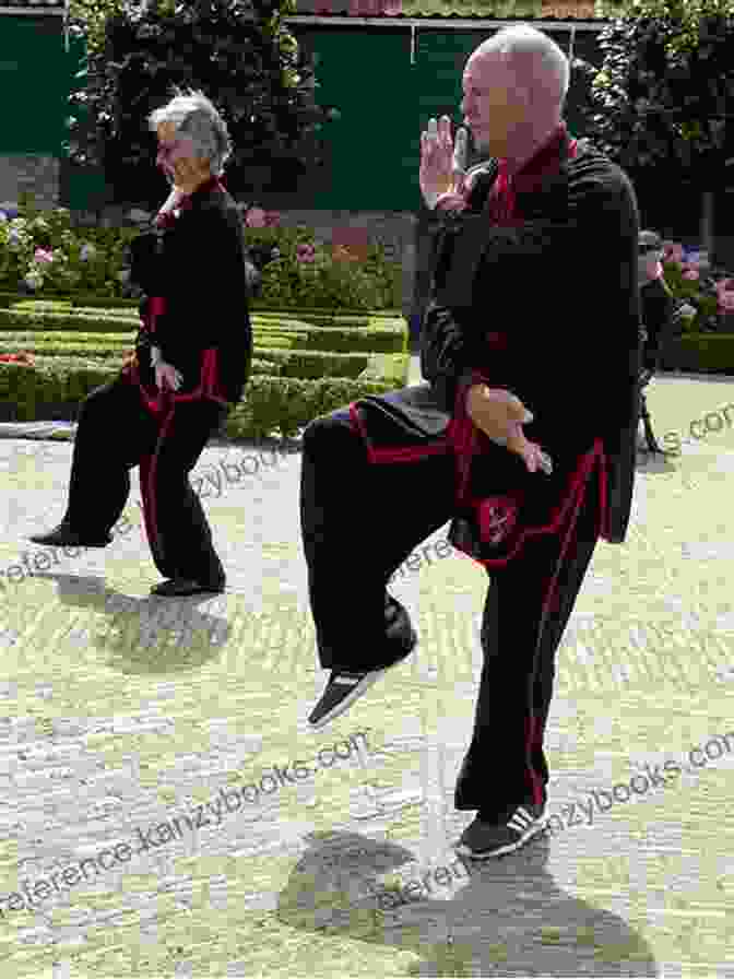 Master Jan Tai Chi Ireland Picture Master Jan S Tai Chi Ireland Picture