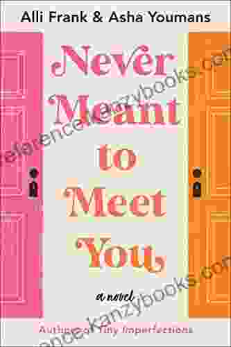 Never Meant To Meet You: A Novel