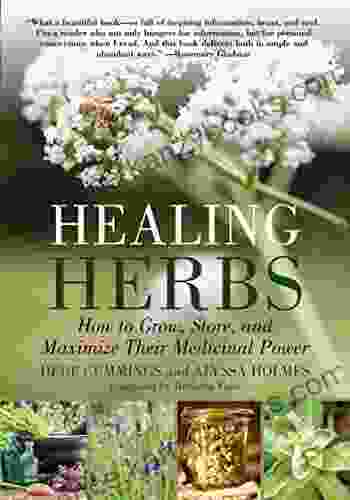 Healing Herbs: How To Grow Store And Maximize Their Medicinal Power