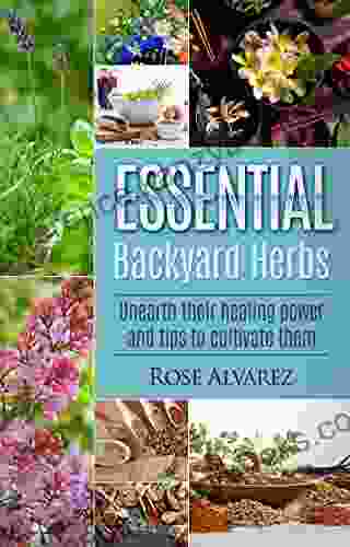 Essential Backyard Herbs: Unearth Their Healing Power And Tips To Cultivate Them